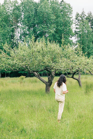 Forest bathing in Vancouver Island rainforests